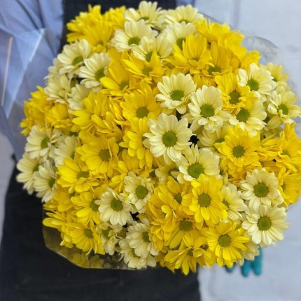 желтая кустовая хризантема - купить с доставкой в по Ямному